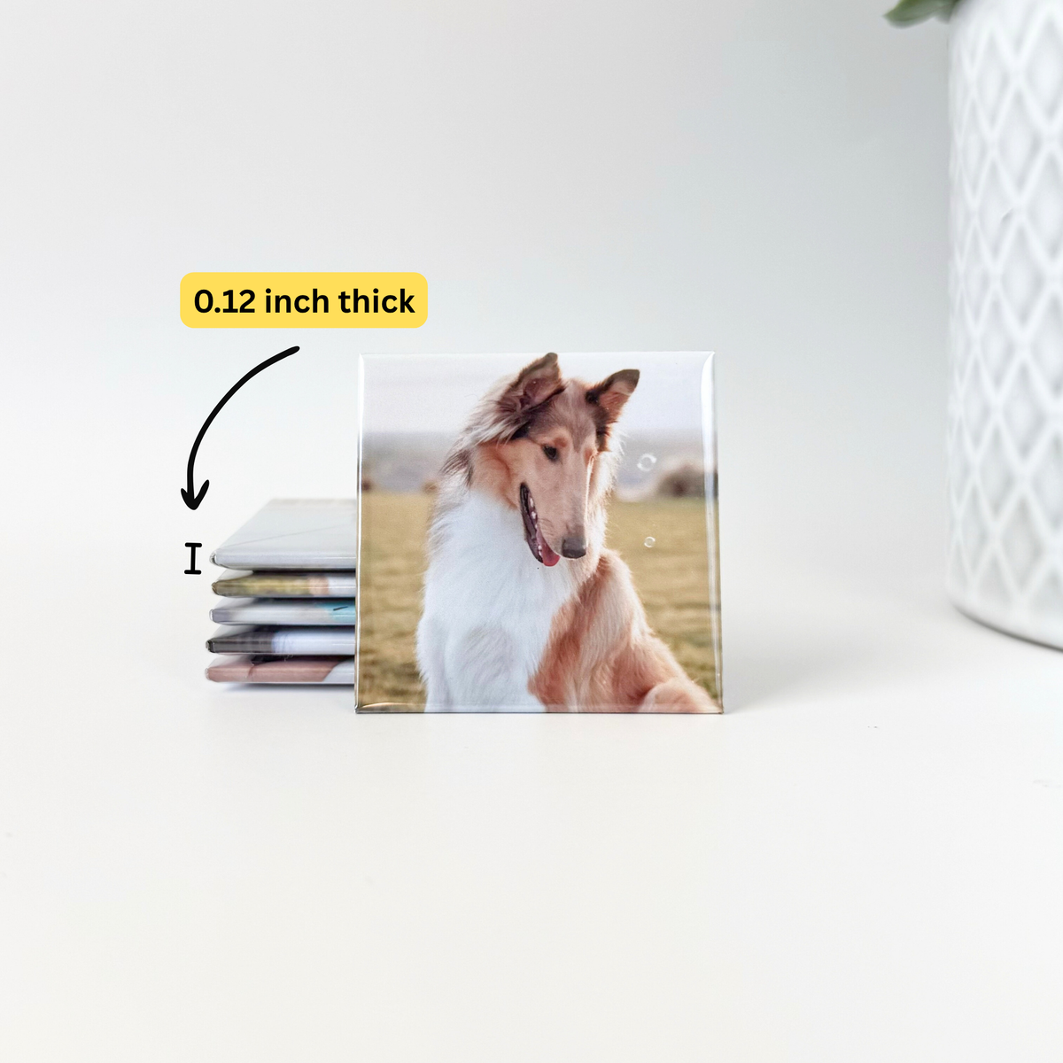 Custom Photo Magnets 2x2''