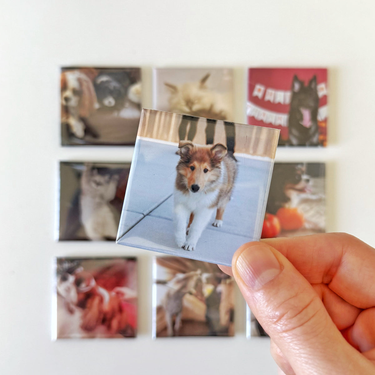 Custom Photo Magnets 2x2''