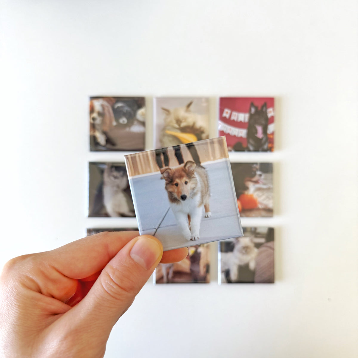 Custom Photo Magnets 2x2''