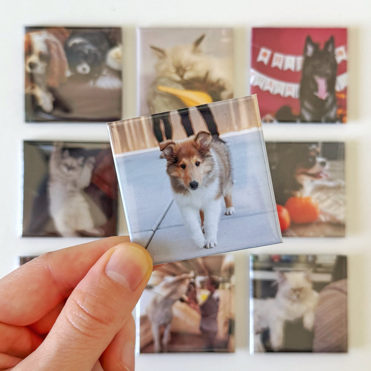 Custom Photo Magnets 2x2''