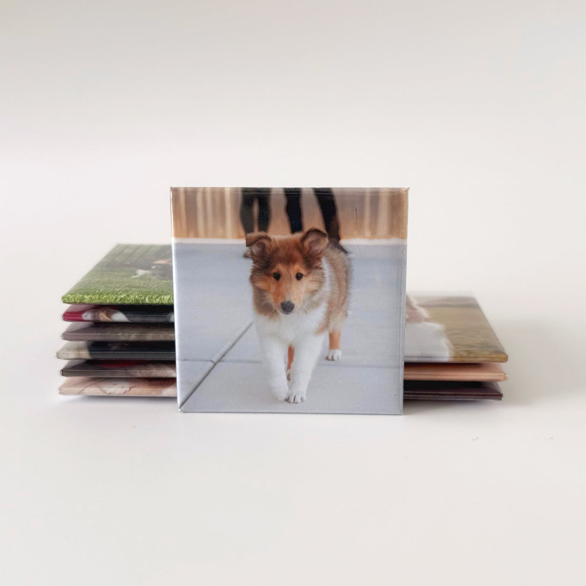 Custom Photo Magnets 2x2''